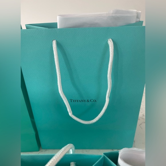 6 Authentic Tiffany & Co. Bags - Picture 4 of 4